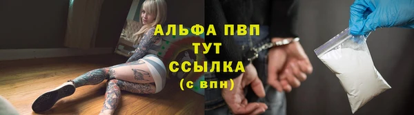 винт Алексин