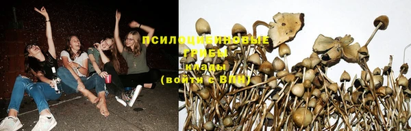 винт Алексин