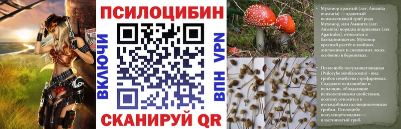 Псилоцибиновые грибы Psilocybine cubensis купить наркотики цена Сясьстрой