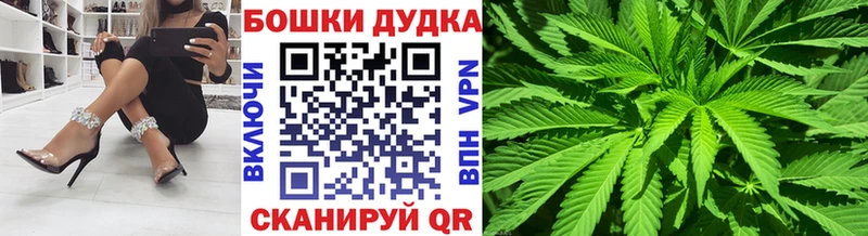 Канабис конопля  Сясьстрой 